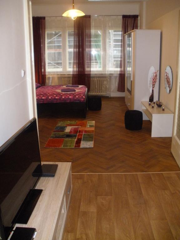 Apartament Tronicek Praga