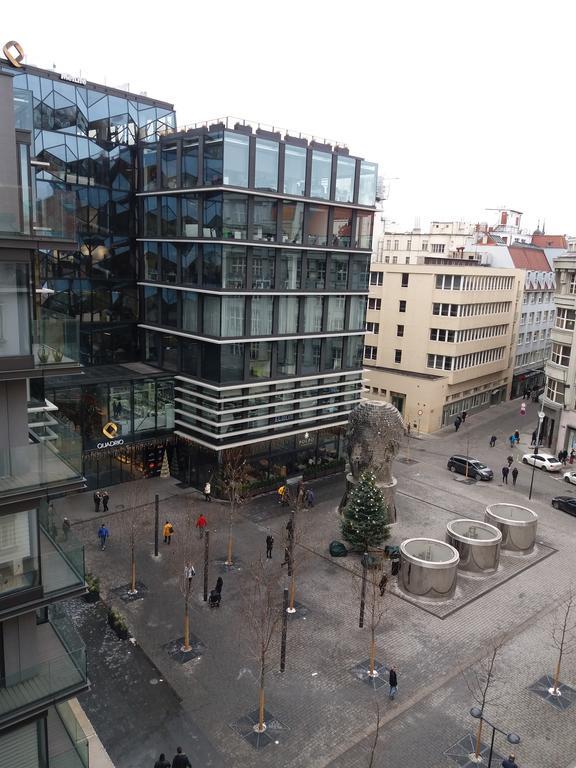 Apartament Tronicek *